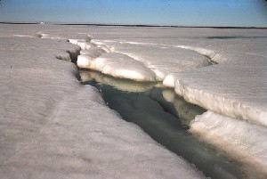 Topią się lody Arktyki