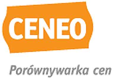 Co kupujemy w sieci?