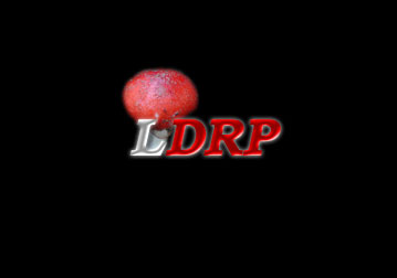 Lewica Demokratyczna RP