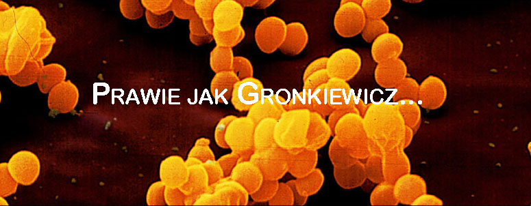 Prezent od Hanki i spółki z zo. (nieograniczoną) o.
