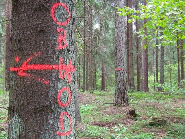 Referendum podatkowe