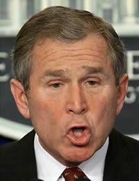 Bush w Brukseli