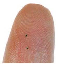 Mikrochipy RFID w banknotach euro i dolarach!