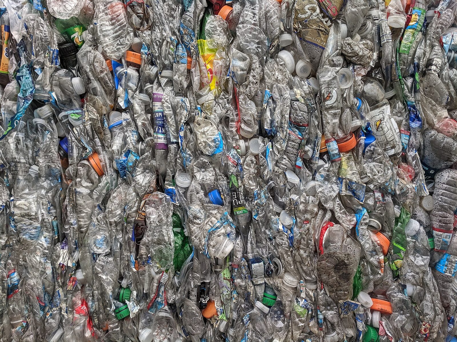 Sprasowane bele butelek PET przygotowane do recyklingu. Od października 2025 r. najcenniejszy surowiec z żółtego worka trafia do systemu kaucyjnego, a nie do gminy. Fot. Grendelkhan / Wikimedia Commons, CC BY-SA 4.0